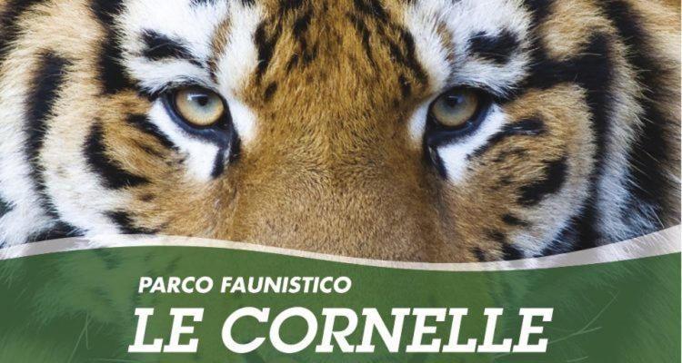 B&B I Colli Di Bergamo Alta Valbrembo Zewnętrze zdjęcie